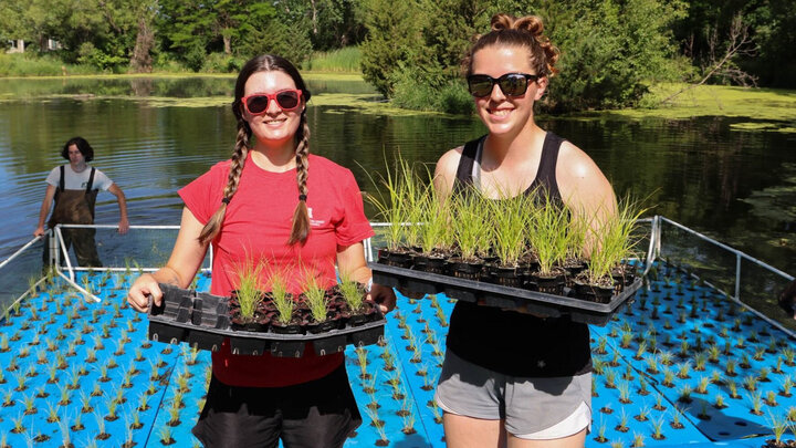 Becca Cain, a junior environmental science major, and Jenny Goesch, a senior agricultural engineering major, pose with trays of lance-fruited oval sedges at the edge of a Lincoln pond on June 14.