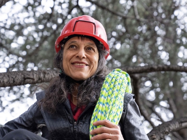 nalini kadkarni in a tree