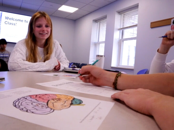 Students being showed diagram of the brain