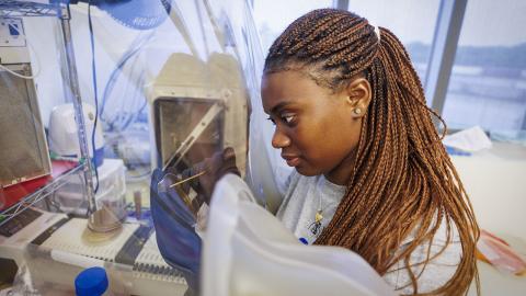 Nathlita Karlney, a senior at Fayetteville State University in North Carolina, is part of the Crop-To-Food Research and Extension Experiences for Undergraduates summer program at Nebraska. She is working on samples in the gut biology lab at the Food Innovation Center.